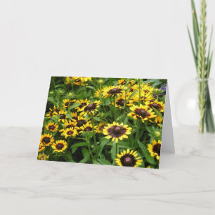 Gebied van het Algemene Wenskaart van Bloemen Kaart