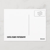 GEBIED VAN HET BRIEFKAART OZARKS (Achterkant)