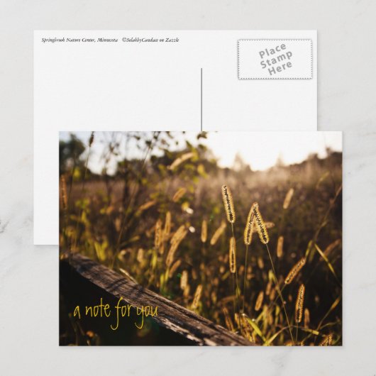 Gebied van het gouden avond Briefkaart (Voorkant / Achterkant)