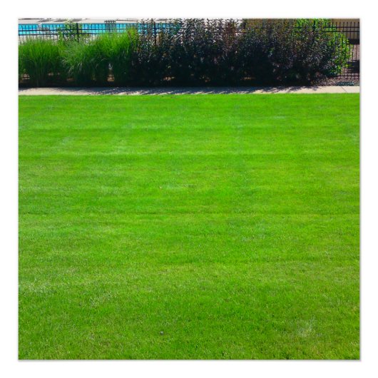 Gebied van het Grijze Perfecte Poster (Voorkant)