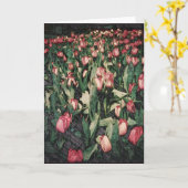 Gebied van het Roze Wenskaart van Balnk van Tulpen Kaart (Gele Bloem)