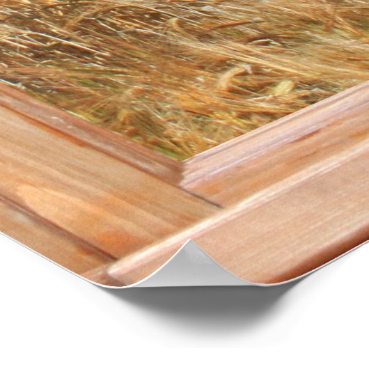 Gebied van het Uitzicht van de gerst vanaf een raa Poster (Hoek)