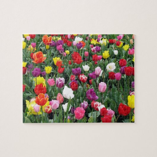 Gebied van kleurrijke Tulpen Puzzle Legpuzzel (Horizontaal)