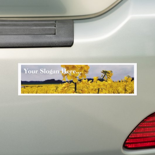 Gebied van koolzaad bumpersticker (Op auto)