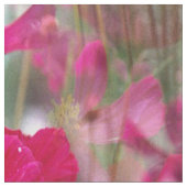 Gebied van Kosmos..... Stof (Close Up)