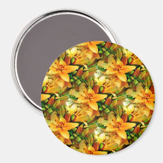 Gebied van Lelies..... Magneet (Voorkant / Achterkant)