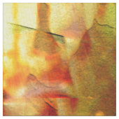 Gebied van Lelies..... Stof (Close Up)