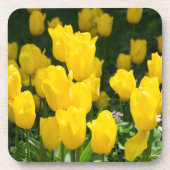 Gebied van lichtgele tulpen bier onderzetter (Voorkant)