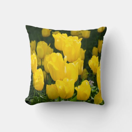 Gebied van lichtgele tulpen kussen (Voorkant)