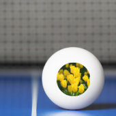 Gebied van lichtgele tulpen pingpongbal (Net)