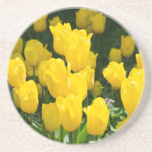 Gebied van lichtgele tulpen zandsteen onderzetter