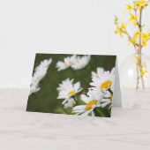 Gebied van Madeliefjes - het Denken aan u Kaart (Gele Bloem)