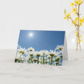 Gebied van Madeliefjes Kaart (Gele Bloem)