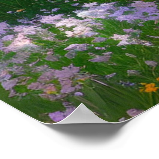 Gebied van Majestic Colors Poster (Hoek)