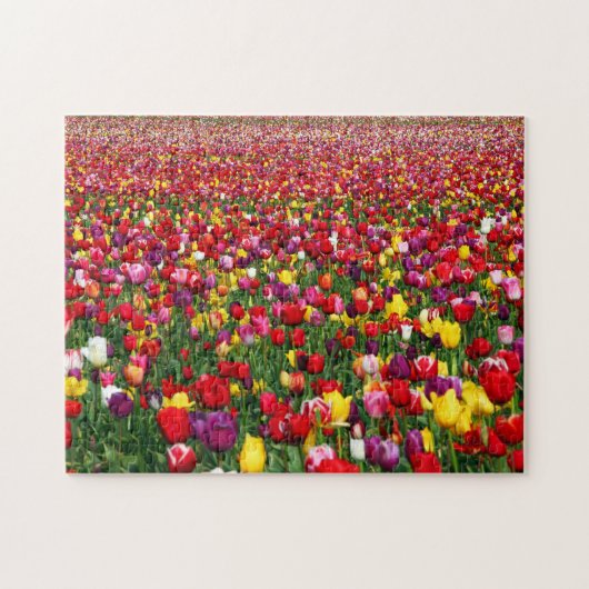 Gebied van meerkleurige tulpen legpuzzel (Horizontaal)