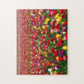 Gebied van meerkleurige tulpen legpuzzel (Verticaal)