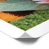 Gebied van Multicolored Flowers, Poster (Hoek)