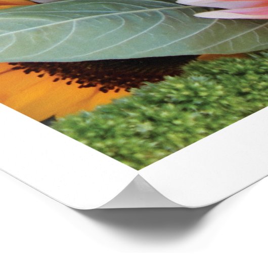 Gebied van Multicolored Flowers, Poster (Hoek)