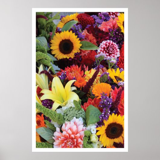 Gebied van Multicolored Flowers, Poster (Voorkant)