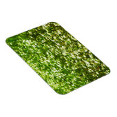 Gebied van Oxeye Daisies Abstract Impressionisme Magneet (Rechterzijde)