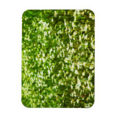 Gebied van Oxeye Daisies Abstract Impressionisme Magneet (Verticaal)