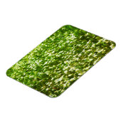 Gebied van Oxeye Daisies Abstract Impressionisme Magneet (Linkerzijde)