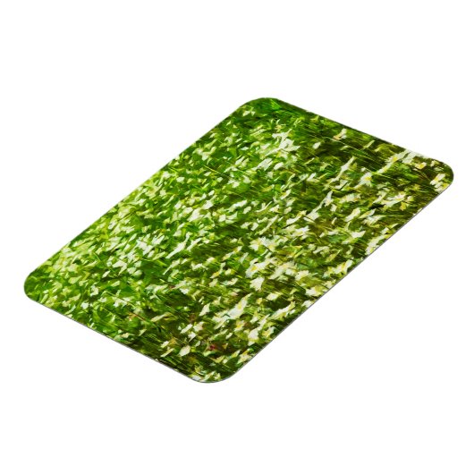 Gebied van Oxeye Daisies Abstract Impressionisme Magneet (Linkerzijde)