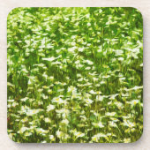 Gebied van Oxeye Daisies Abstract Impressionisme Onderzetter (Voorkant)
