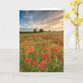 Gebied van Papavers Kaart (Gele Bloem)
