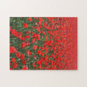 Gebied van rode papavers legpuzzel (Horizontaal)