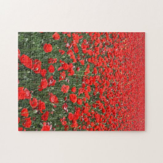 Gebied van rode papavers legpuzzel (Horizontaal)