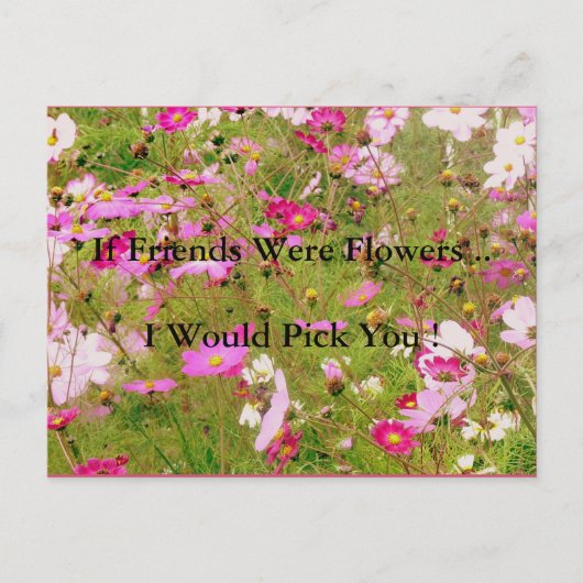 Gebied van roze bloemen vriendschap briefkaart (Voorkant)