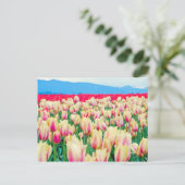 Gebied van roze en gele Tulpen Briefkaart (Staand voorkant)