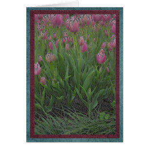 Gebied van roze tulpen