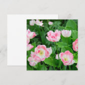 Gebied van roze tulpen (Voorkant / Achterkant)