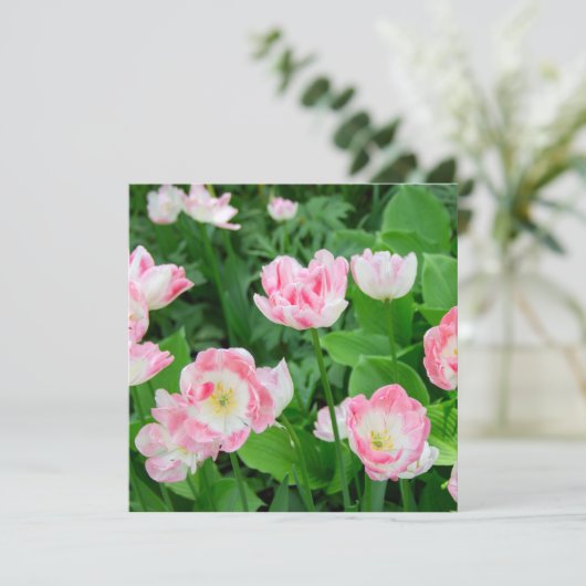Gebied van roze tulpen (Staand voorkant)