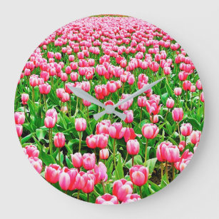Gebied van roze Tulpen Grote Klok