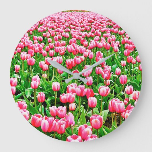 Gebied van roze Tulpen Grote Klok (Voorkant)
