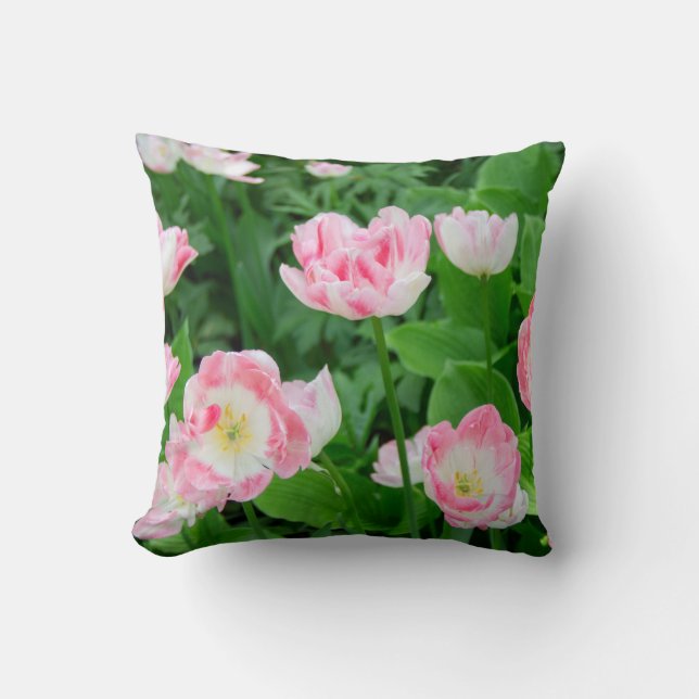 Gebied van roze tulpen kussen (Voorkant)