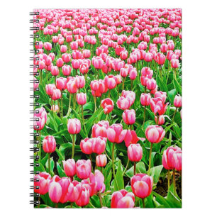 Gebied van roze Tulpen Notitieboek