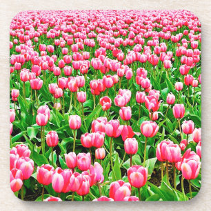 Gebied van roze Tulpen Onderzetter