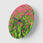 Gebied van roze Tulpen Ronde Klok (Hoek)