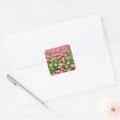 Gebied van roze Tulpen Vierkante Sticker (Envelop)