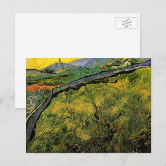Gebied van Spring Wheat, zon door Vincent van Gogh Briefkaart (Voorkant / Achterkant)