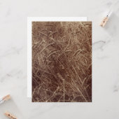 Gebied van tarwe (door Eugène Atget) Kaart (Voorkant / Achterkant in situ)