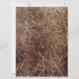 Gebied van tarwe (door Eugène Atget) Kaart