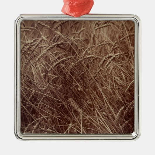 Gebied van tarwe (door Eugène Atget) Metalen Ornament (Voorkant)