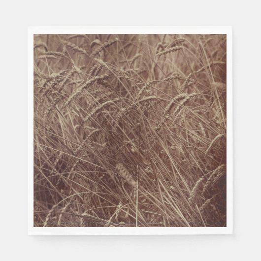 Gebied van tarwe (door Eugène Atget) Servet (Voorkant)