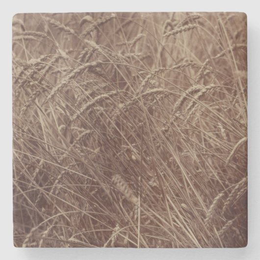 Gebied van tarwe (door Eugène Atget) Stenen Onderzetter (Voorkant)