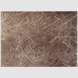 Gebied van tarwe (door Eugène Atget) Tissuepapier